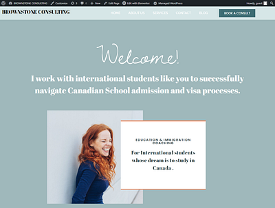 Immigration Consulting website on wordpress with elementor consulting elementor immigration website template wordpress
