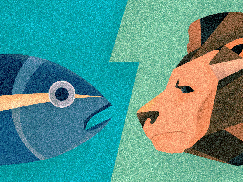 DailyVector Lion Vs Tuna by Patrick Jude Ilagan on Dribbble