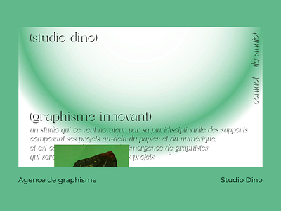 Studio dino - web site Graphic design agency agence graphisme animation design agency elementor pro graphic design graphic design agency graphic project hover effect parallax scroll effect scroll parallax ui ui design wordpress