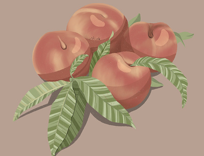 peaches coloured drawings illustration painting peach