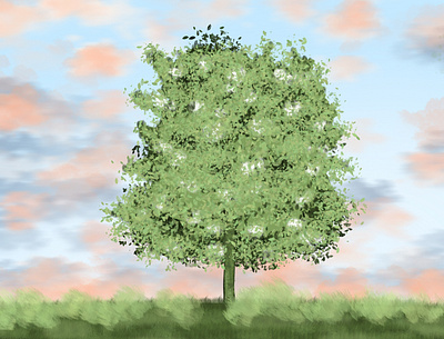 a lonely tree coloured drawings illustration painting tree