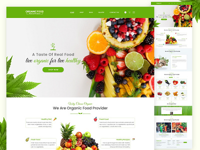 Organic Food UI Design