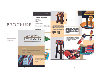 BROCHURE branding design illustration logo vector