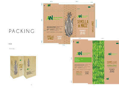 Packing branding design illustration logo packing paper craf vector