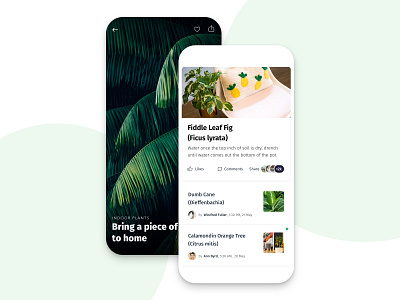 Introducing 2019's Indoor Trendy Plants blog design designer flat minimal plants product ui ux