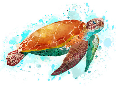 Animal Illustration - Sea Turtle animal illustration art graphic design illustrated portrait illustration paint art