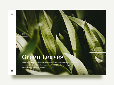 Leaves - Gallery