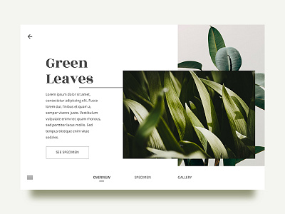 Leaves - Overview dailyui design interaction landing leaf minimal presentation ui uidesign webdesign