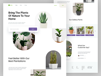 Landing Page For Plant Shop