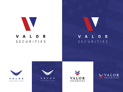 Valor Logo Concepts