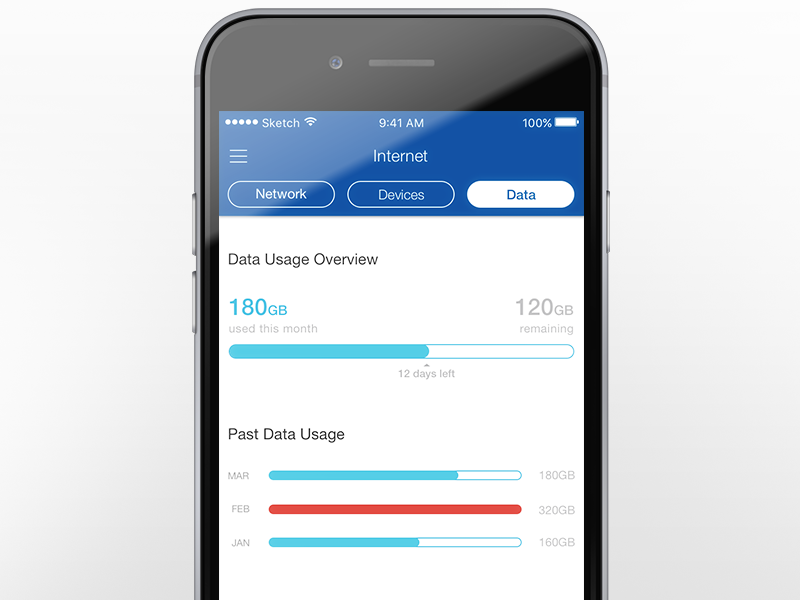 Data Usage Meter by Max Frothingham on Dribbble