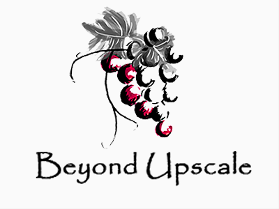 Logo Design for Wine Tasting grapes illustrator logo sketch wine