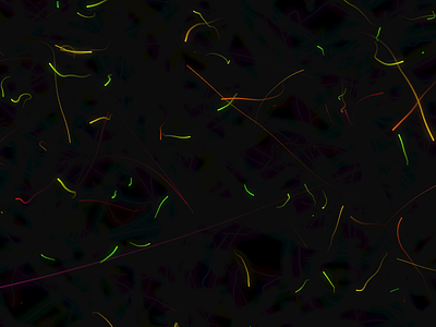 Random Curve Pathed Rainbow Particles