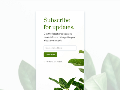 Daily UI 026 - Subscribe clean daily ui daily ui 026 daily ui challenge design minimal mobile app design subscribe subscribe form ui ui design