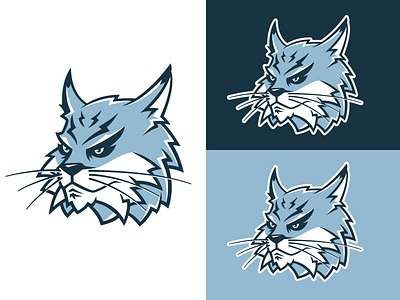 Bobcat Mascot animal bobcat branding character design illustration logo mascot school sports logo vector wildcat