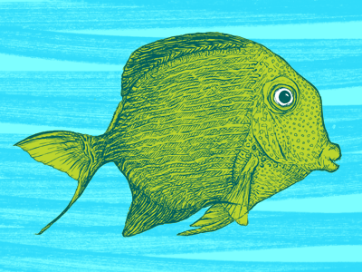 Kole Tang Fish! animal creature detail drawing fish illustration kole tang line art ocean sea sketch tropical