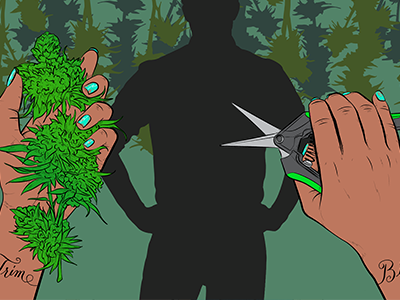 VICE Broadly Editorial Illustration cannabis editorial farming hands illustration line art marijuana silhouette trim vector weed
