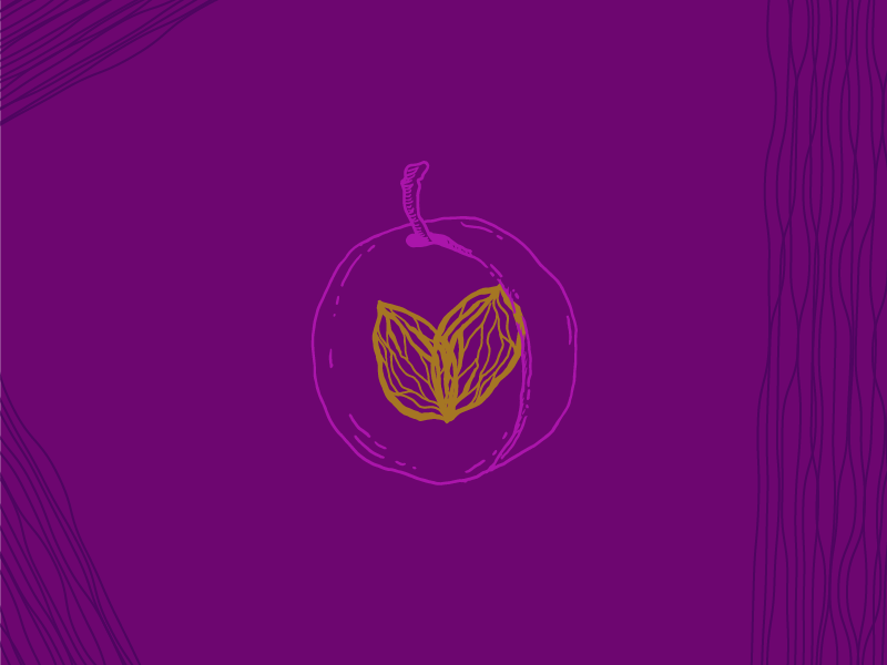 Plum - Pity Sex color design drawing illustration lines music purple