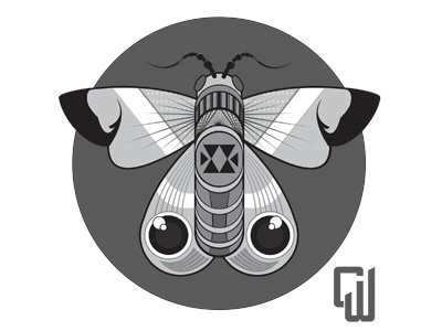 Moth animal art christovw design graphic grayscale illustration insect moth vector