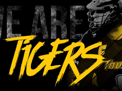 We Are Tigers