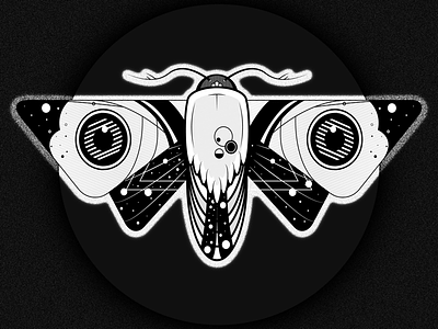 Moon Chaser adobe design illustration moth vector