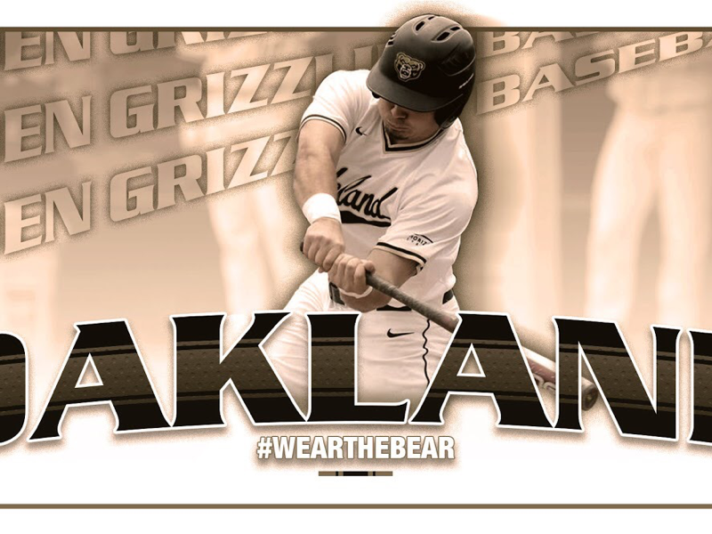 Golden Grizzlies Baseball by Christo Wojtanowski on Dribbble