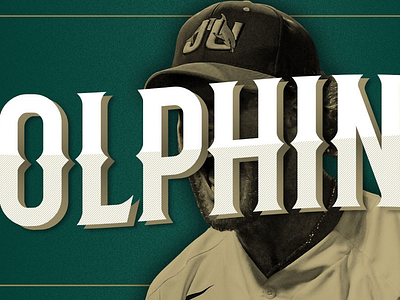 Dolphins Baseball adobe baseball dolphins graphic promotion sports