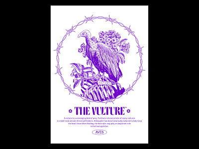 The Vulture