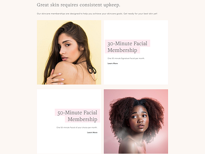 Facial Bar Website Snippet ecommerce design facial bar ui user experience design user interface design ux web design website design woocommerce wordpress design