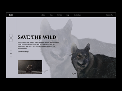 Save the wild biography design logo typography ui ux