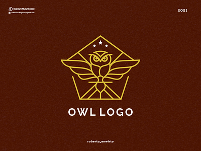 Owl Logo 3d animation branding design graphic design icon illustration logo logodesign logos owl owl logo ui vector