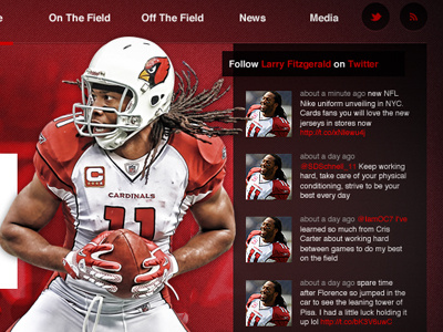 Larry Fitzgerald Redesign Concept concept design website