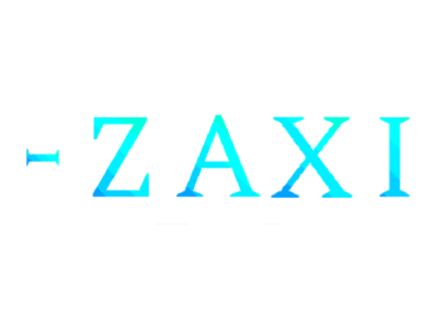 -zaxi blue branding design logo vector