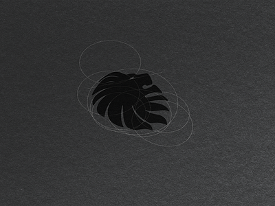 Fauve - Creative process branding design icon illustration logo typography vector