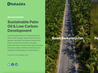 Special report on sustainable palm plantation, Katadata design edi editorial design information architecture minimal news typography