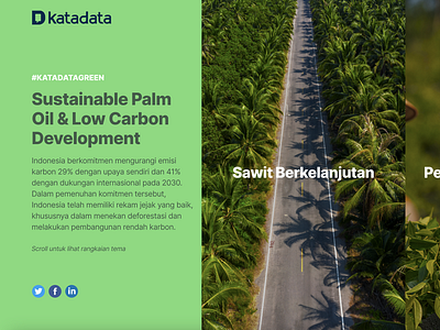 Special report on sustainable palm plantation, Katadata