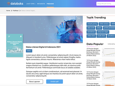 Publication page for Databoks