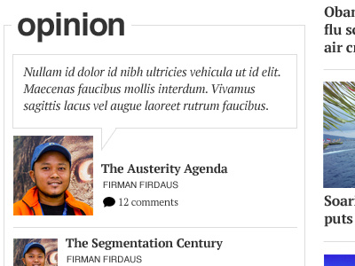 Opinion custom widget newspaper typography wordpress