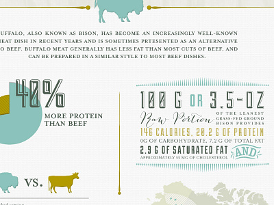 Buffalo Meat bison buffalo infographics meat typography