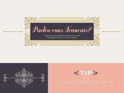 Parlez-vous Francais? france french girly paris pink typography