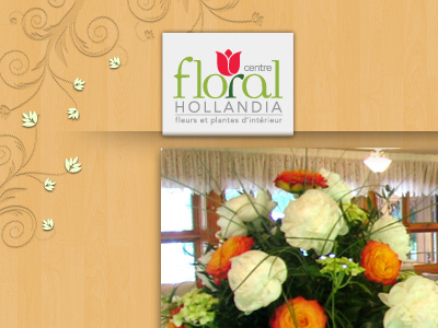 Hollandia Web Design florals flower web design
