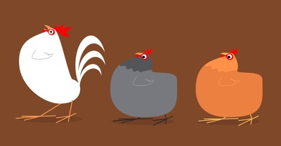 Chickens chickens hens illustrator rooster