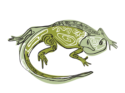 Lizard Stroke illustration