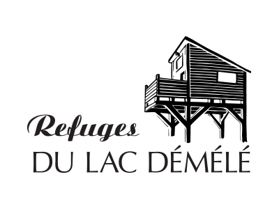 Logo Démélé graphic design logo design.