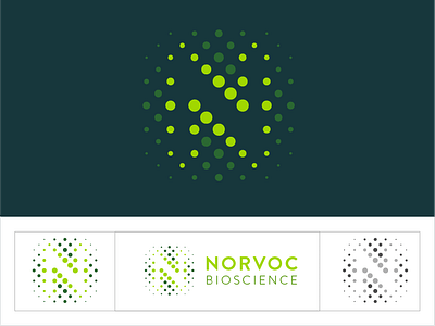 Norvoc Brand Identity