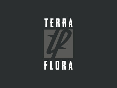 Terrafloralogo ai branding identity illustrator logo typography