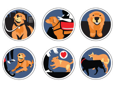Icon Set branding dog obedience dogs icon set icons identity illustration ux web