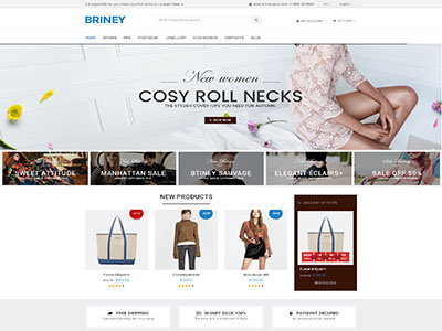Briney - Responsive Accessories Theme For Magento magento fashion theme magento theme magento themes club responsive magento theme