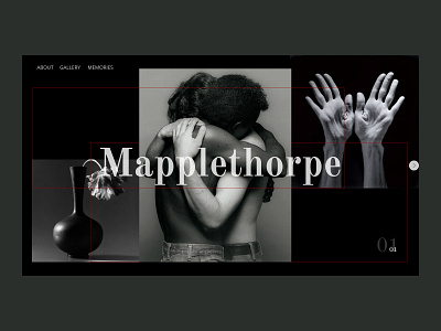 Photographer Portfolio Shot Robert Mapplethorpe design photogtaph portfolio shot ui