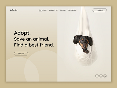 Animal adoption shot adoption animal design shelter shot ui ux